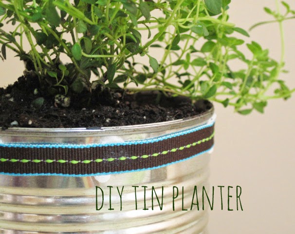 10 Gallon with Flap Paper Potted Plants Felt Planter