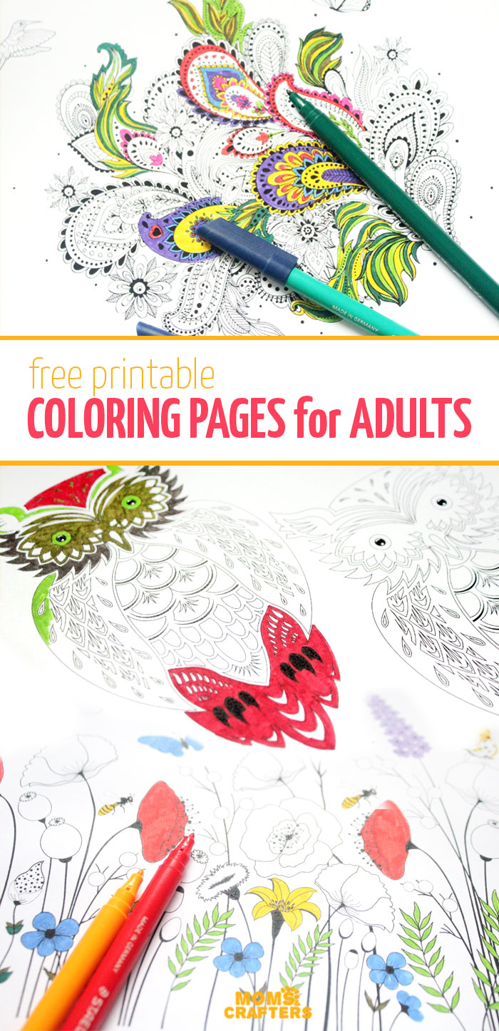 Free Printable Pattern Coloring Pages for Adults * Moms and Crafters