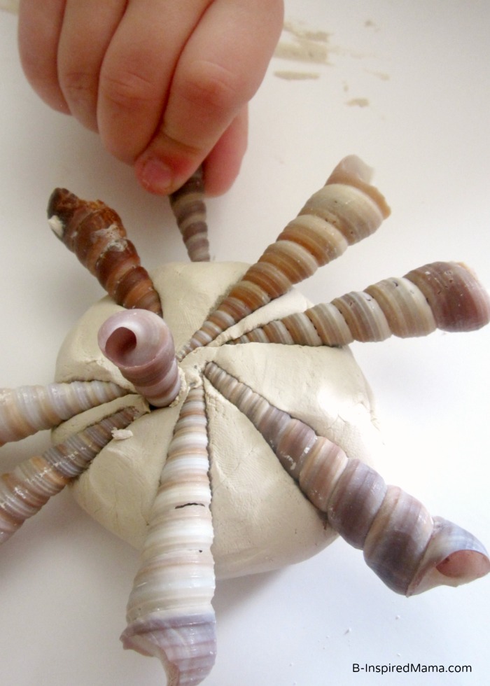 Craft Seashells