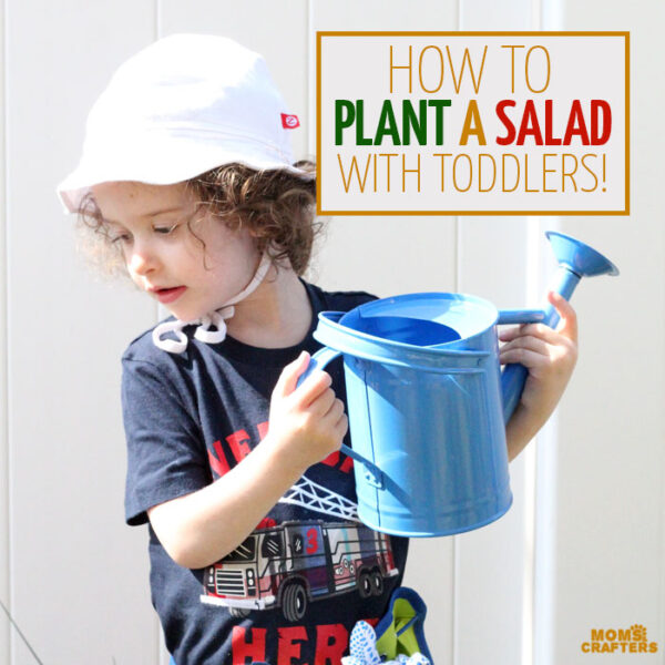 Planting a salad with toddlers * Moms and Crafters