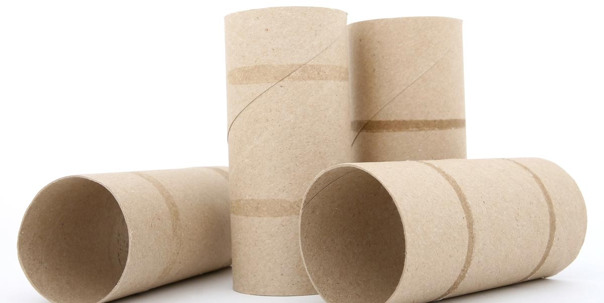 Image result for toilet paper rolls