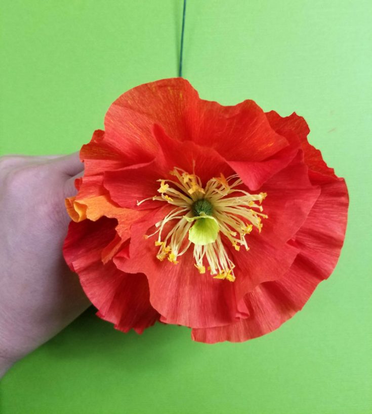 Paper Flower Wreath - Crepe Paper Icelandic Poppies * Moms and Crafters