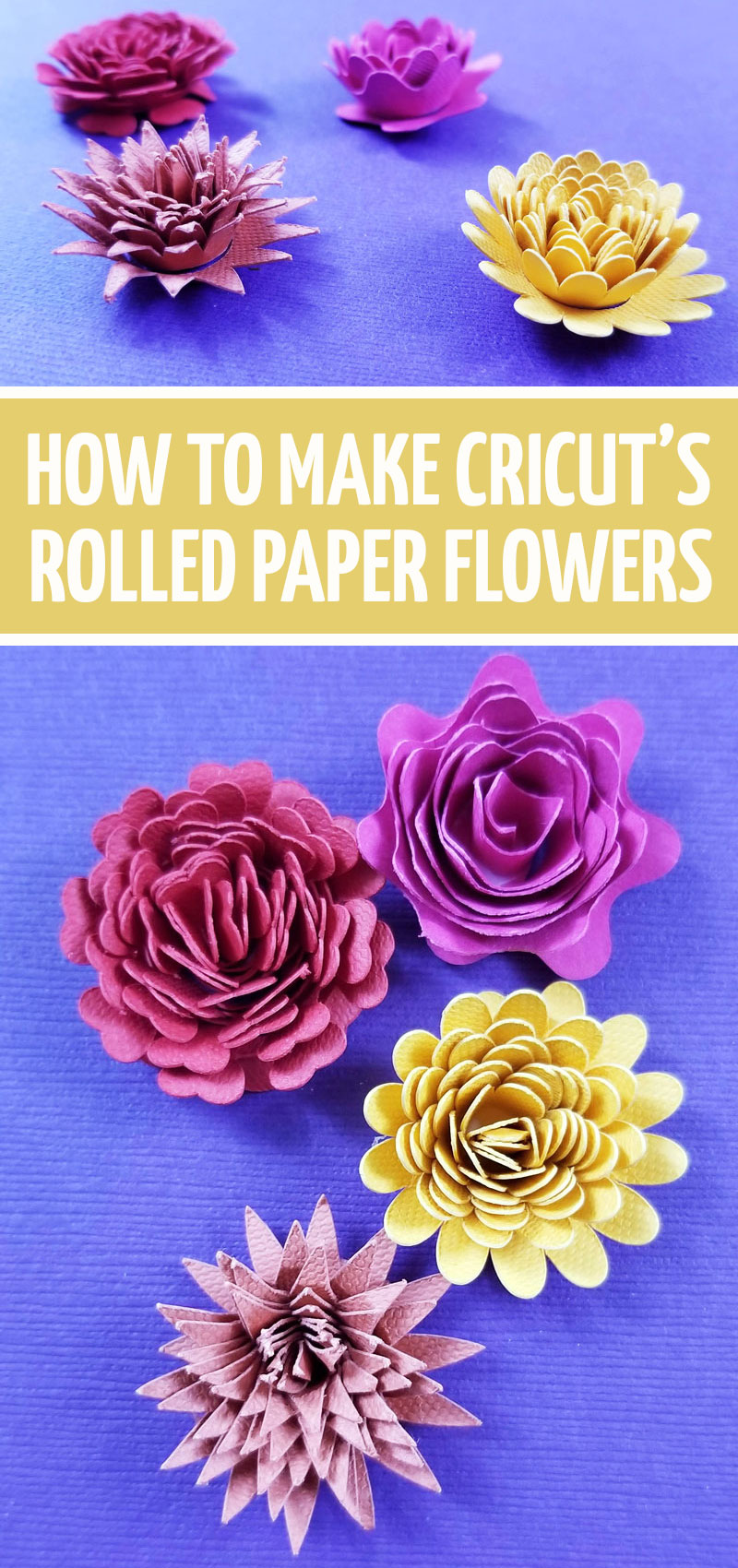 how-to-make-paper-flowers-with-cricut-moms-and-crafters