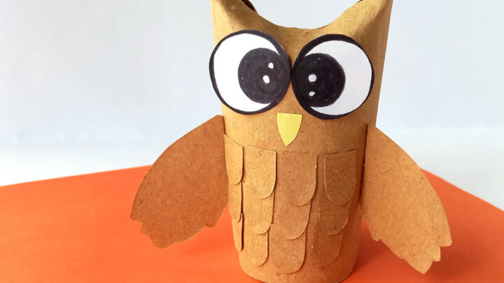 TP Roll Owl Pillow Boxes - Fun Crafts Kids