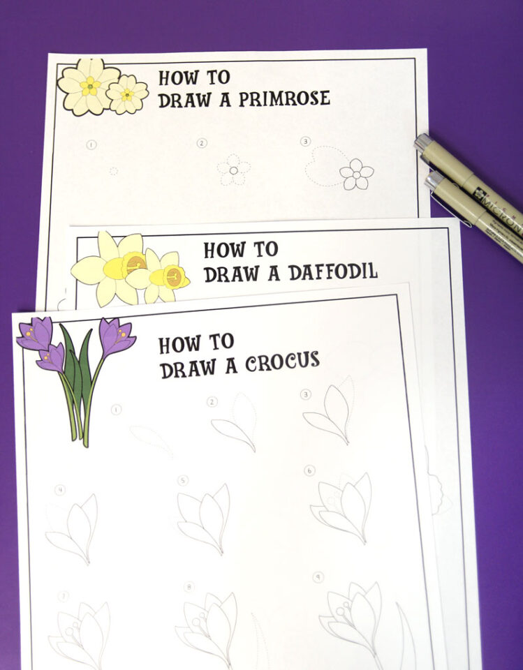 How to Draw a Step by Step Flower - Easy Guided Drawing