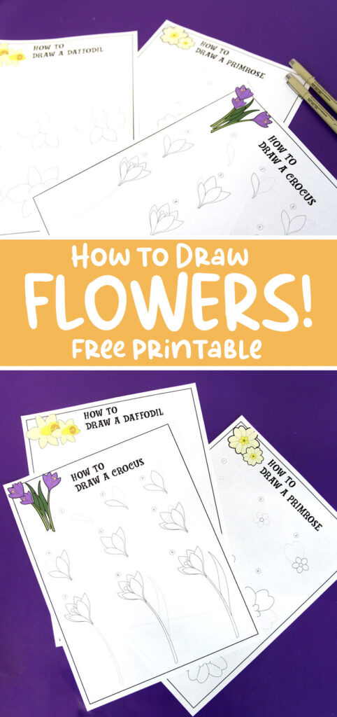 How to Draw a Step by Step Flower - Easy Guided Drawing