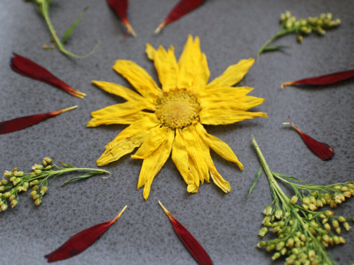 How to Press Flowers Using the Microwave