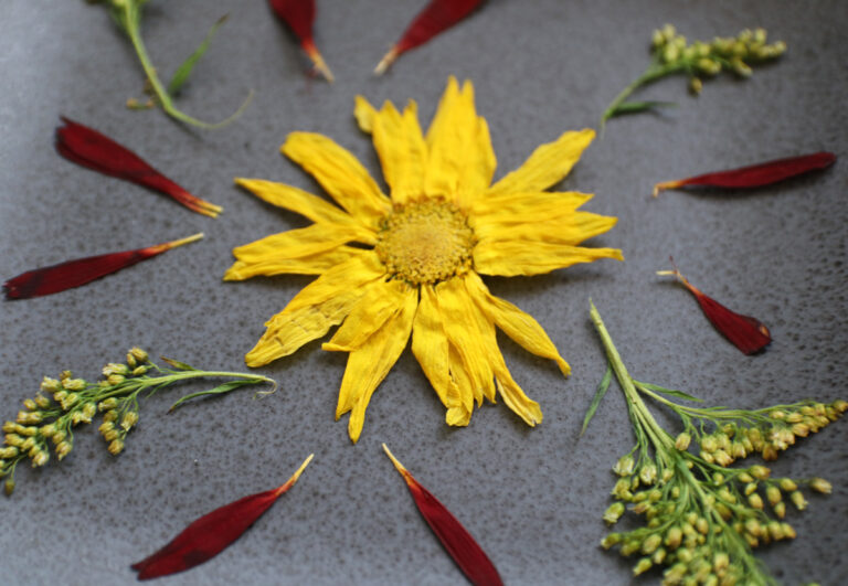 How to Dry Flowers Quickly (in the Microwave)