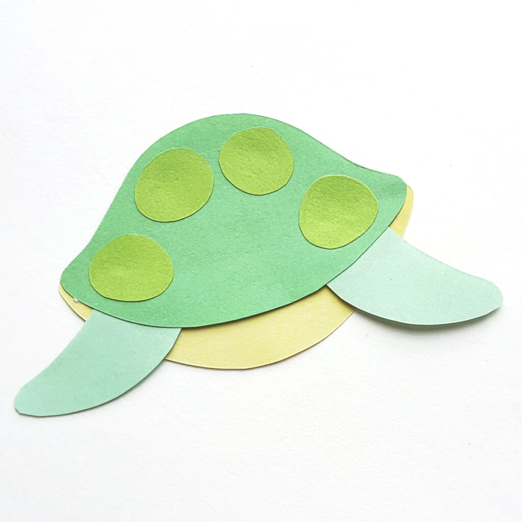 place the shell behind the turtle 