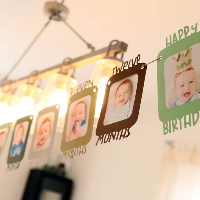 1st Birthday Photo Garland